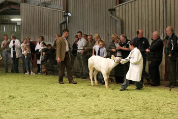 Philip Halhead, Norbreck Farm, Lancaster judging